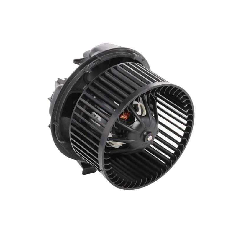 698729 7701056965 7701035892 7701056964 RENAULT MEGANE II Car Blower Motor